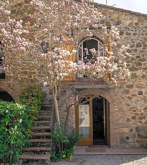 La Magnolia-1