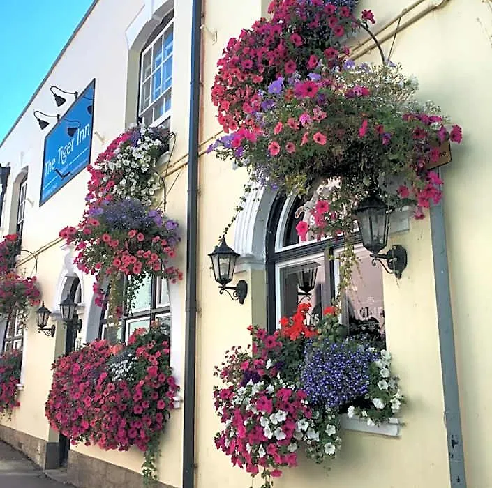 Tiger Inn-1