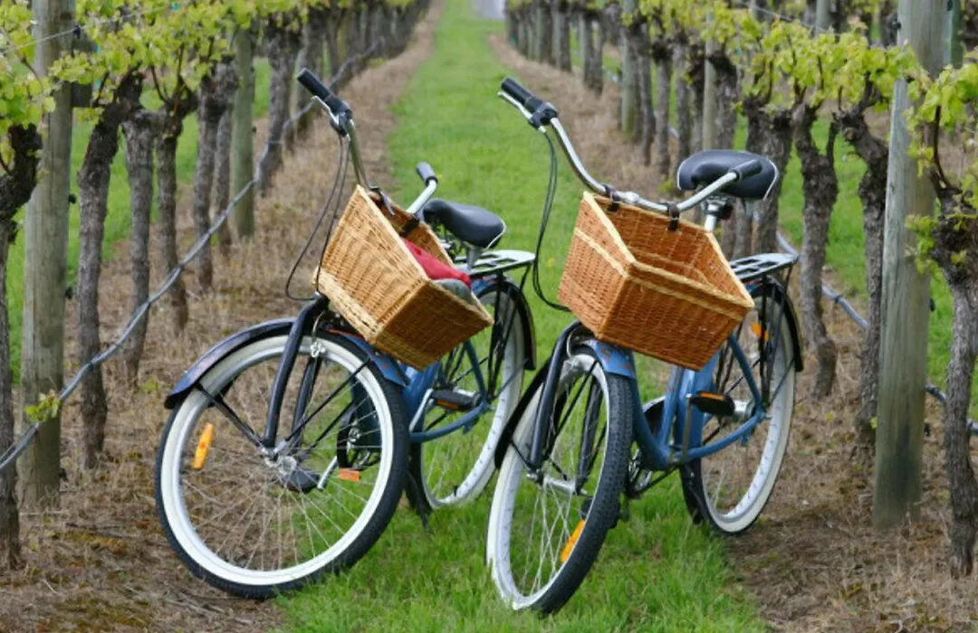 Wine & Art Relais Vallombrosa-1