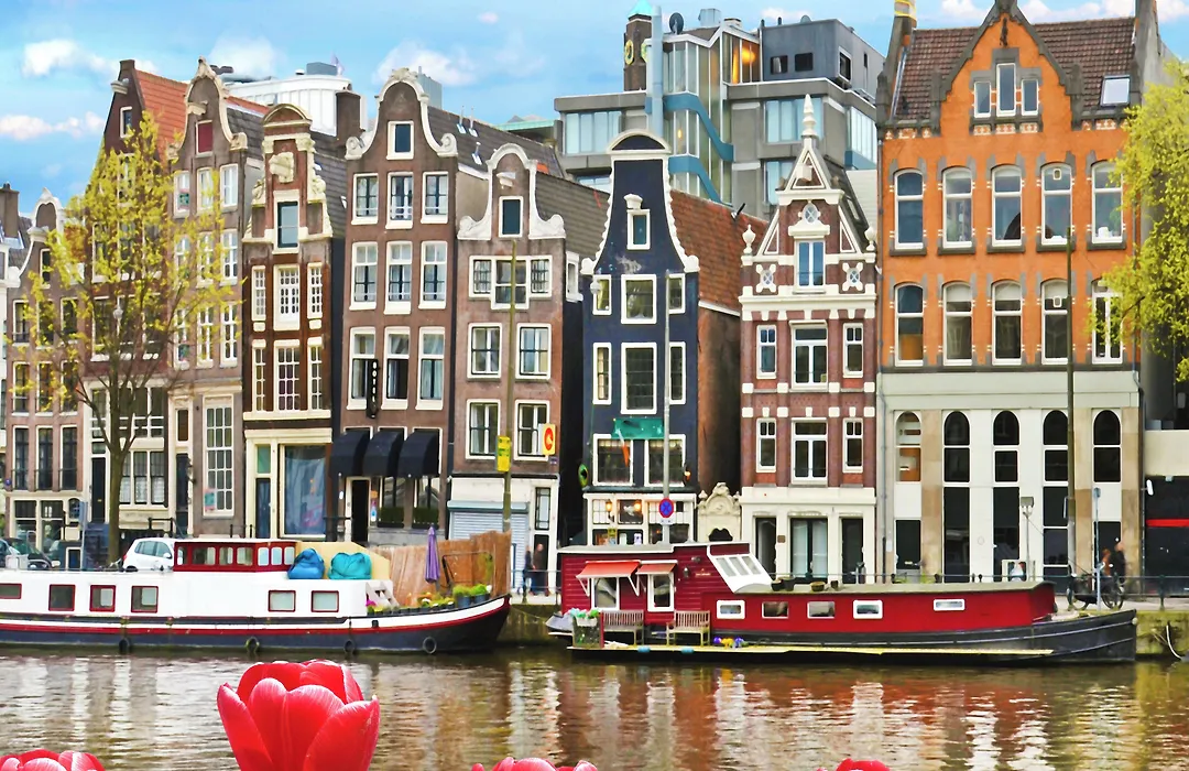Holiday Inn - the niu, Fender Amsterdam-1