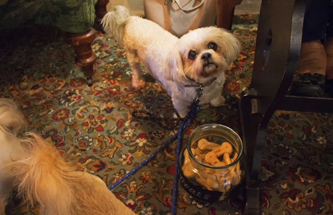 The Groes Inn-1