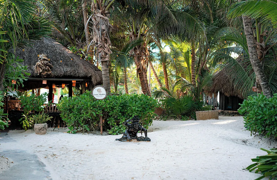 Diamante K - Inside Tulum National Park-1