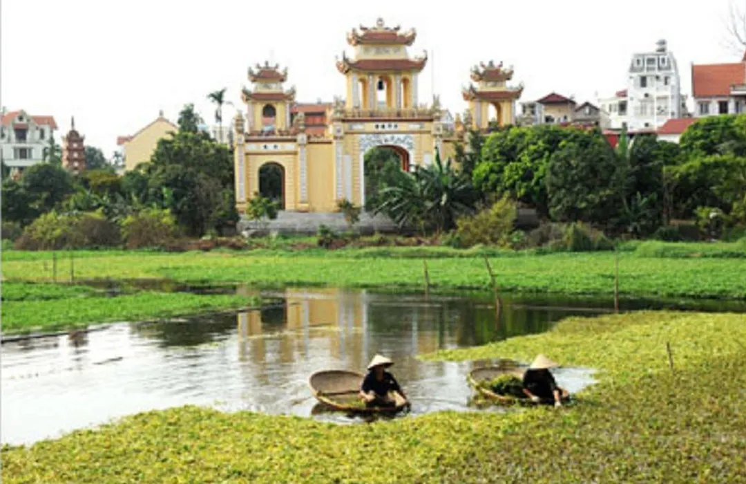 Wild Lotus Hotel - Xuan Dieu-1