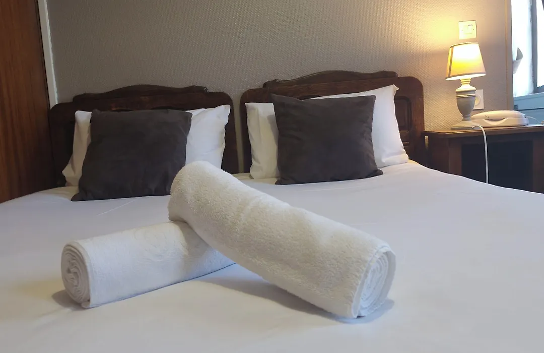 Hotel Saint Etienne-1