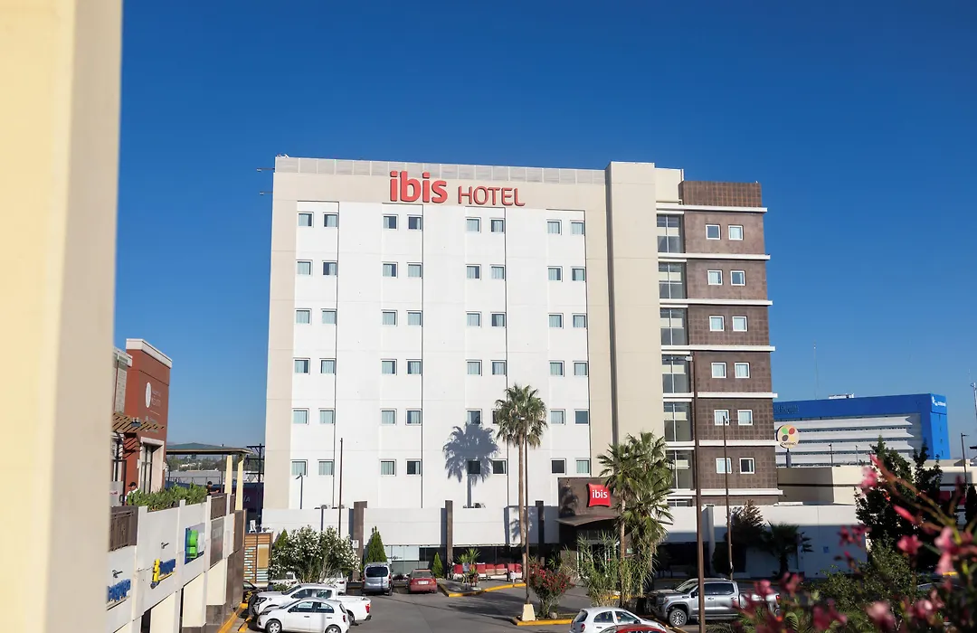 Ibis Chihuahua-1