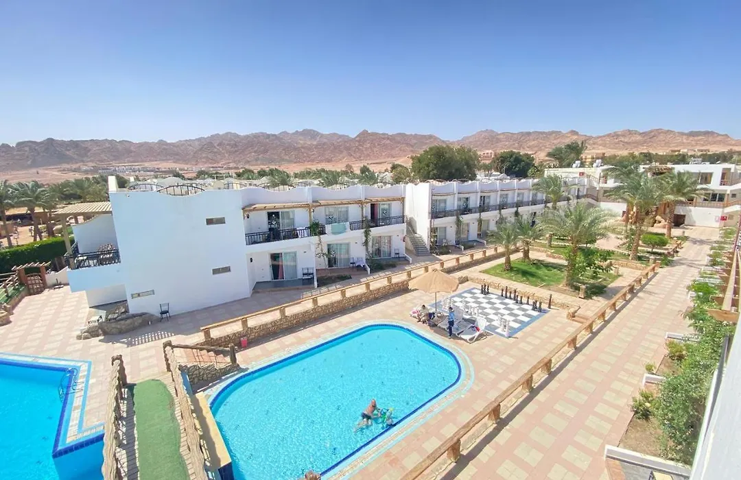 Panda Resort-1