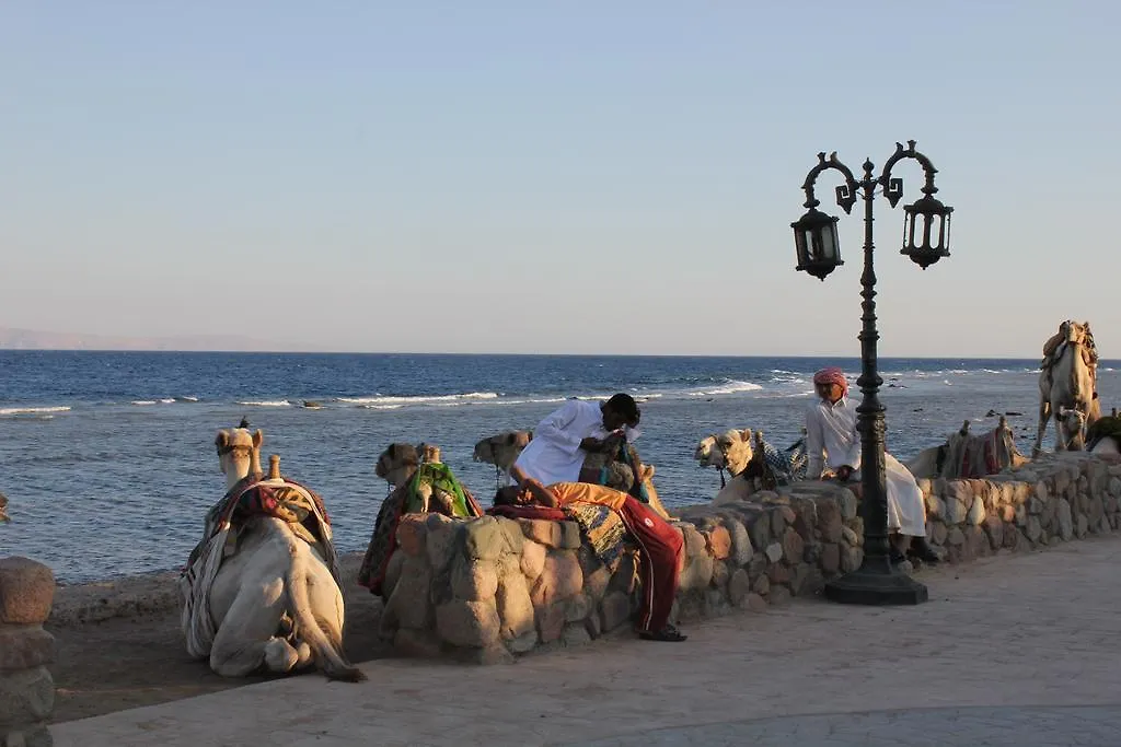 La Reine Dahab Hotel-1