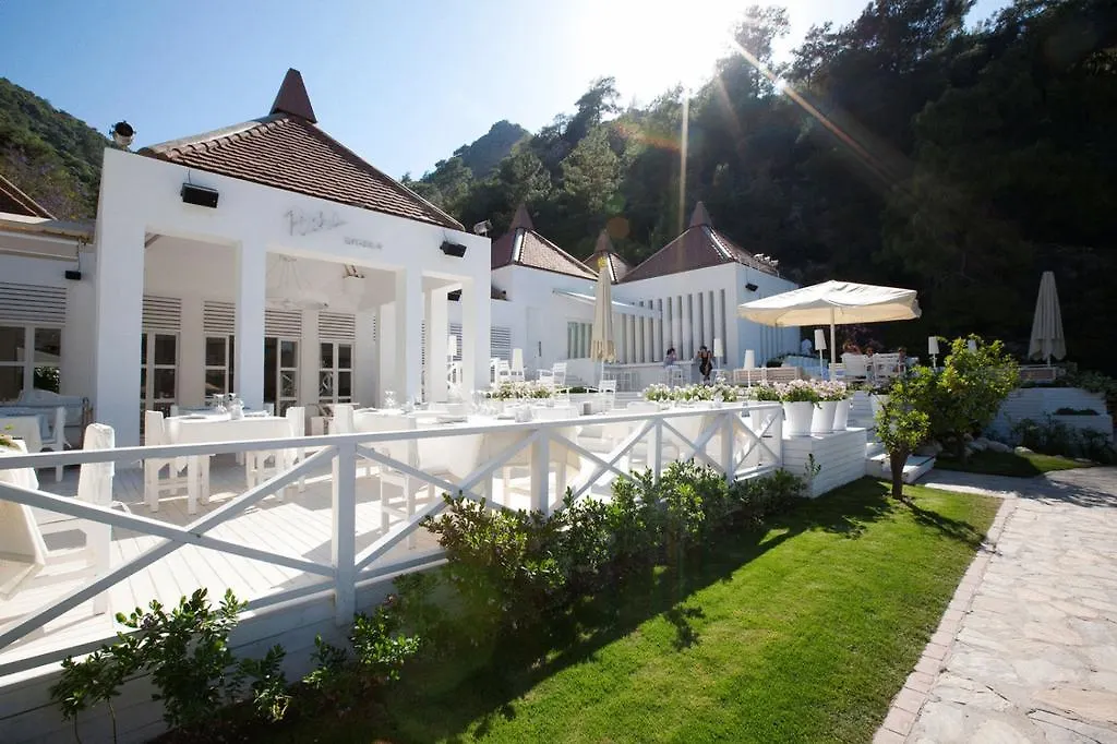 Hillside Beach Club-1