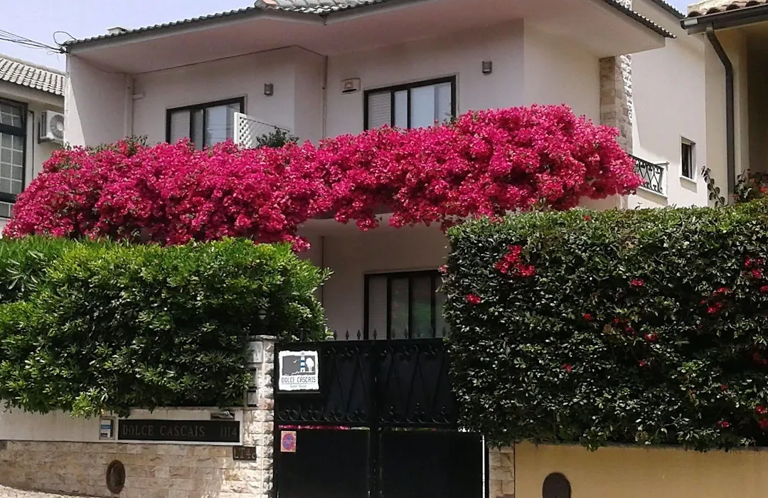 Dolce Cascais Guest House-1