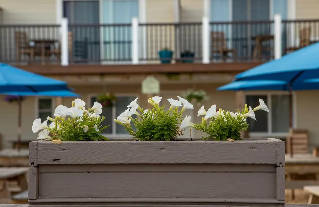 Aqualina Inn Montauk-1