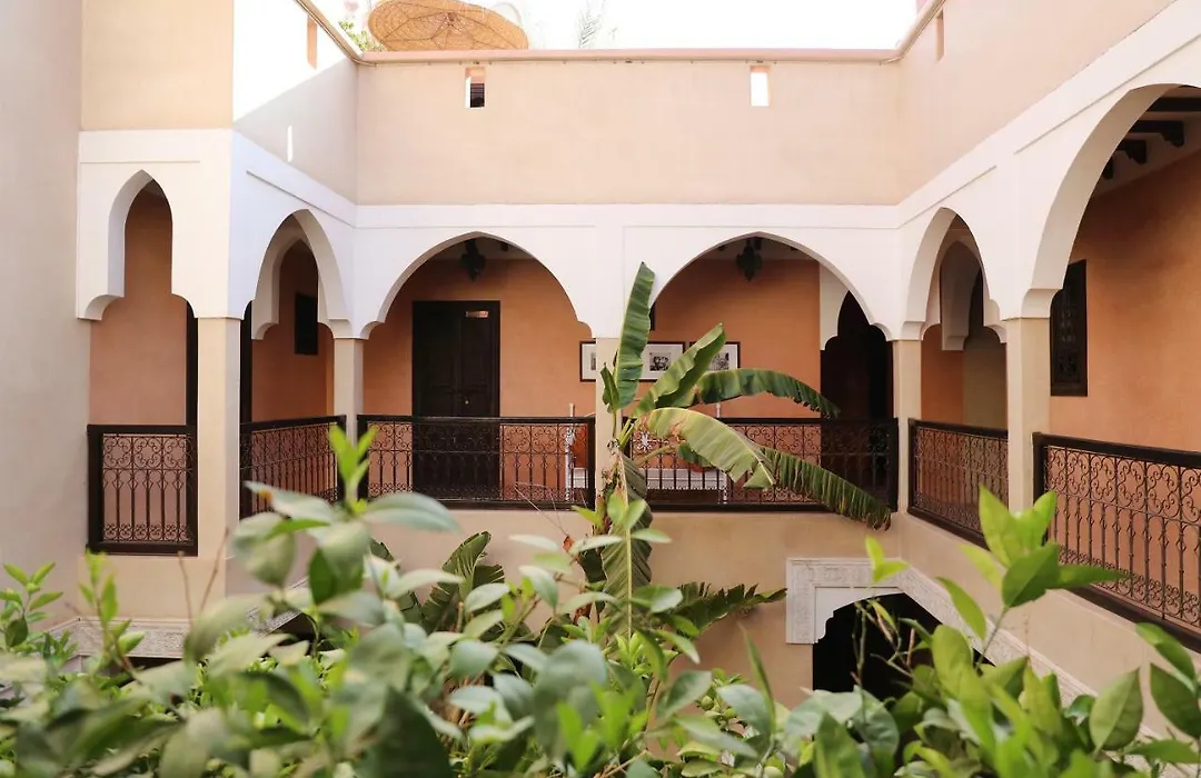 Riad l'Oiseau du Paradis-1