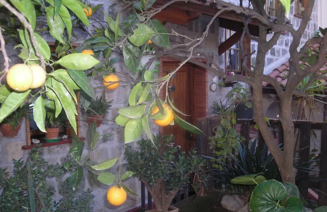 B&B L'Arcobaleno-1