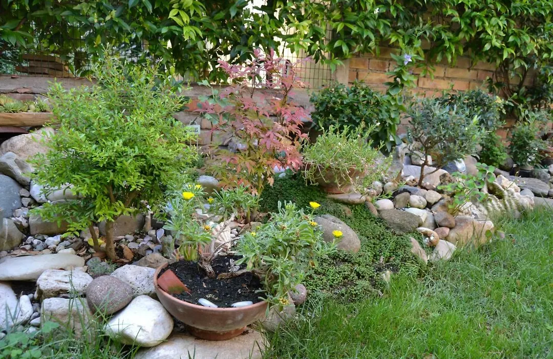 Il Giardino Roccioso-1