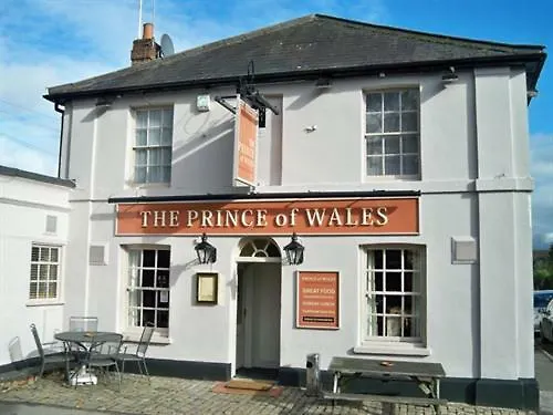 Prince Of Wales Marlow-1