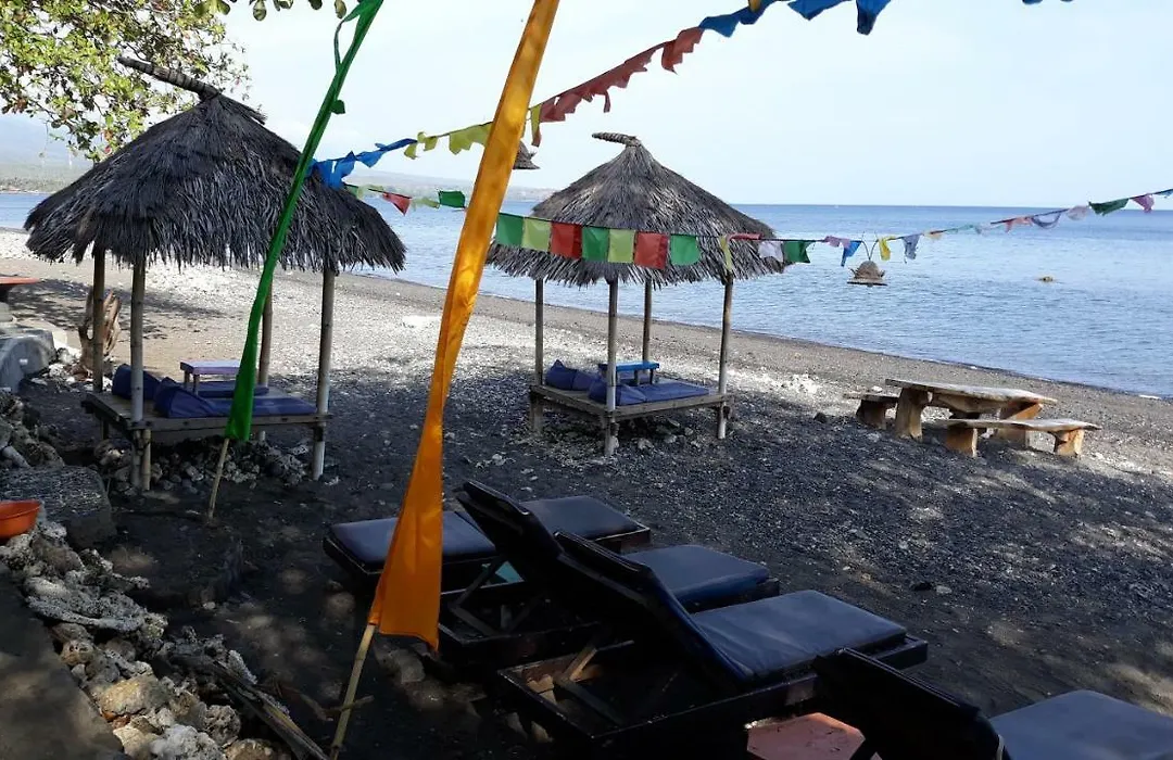 Barracuda Beach Hostel-1