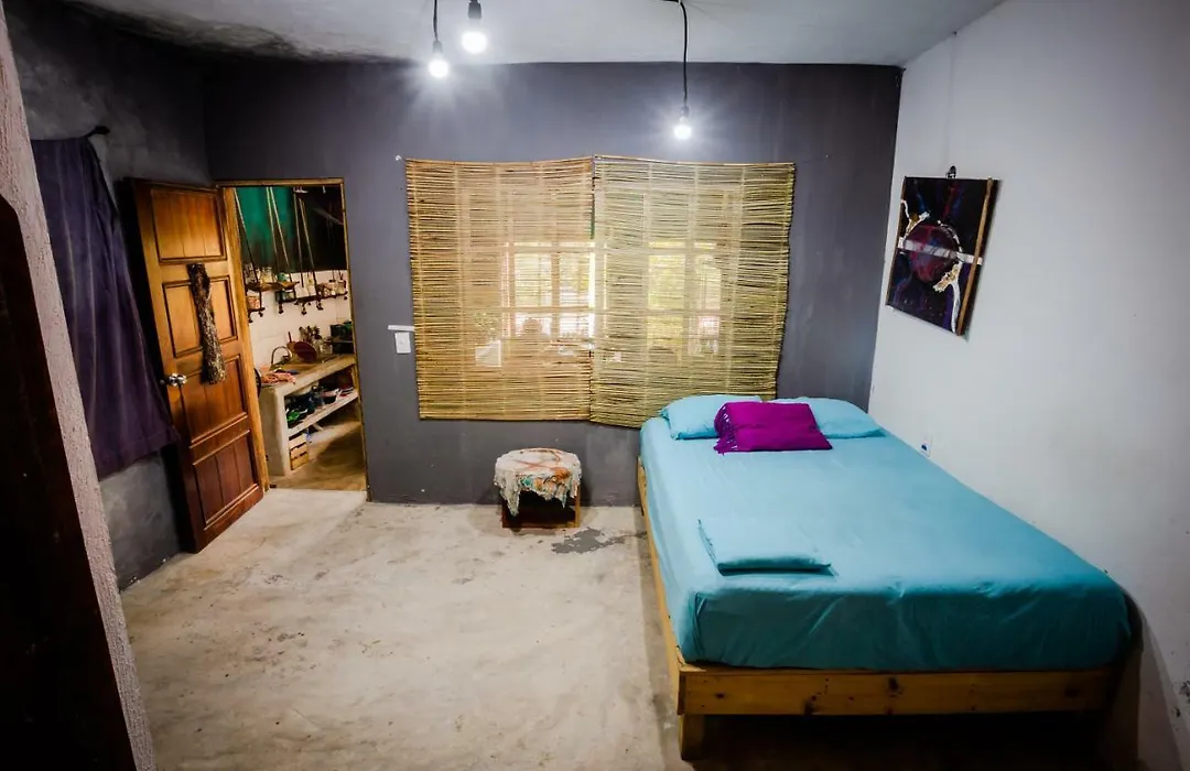 Black Jaguar Hostel-1