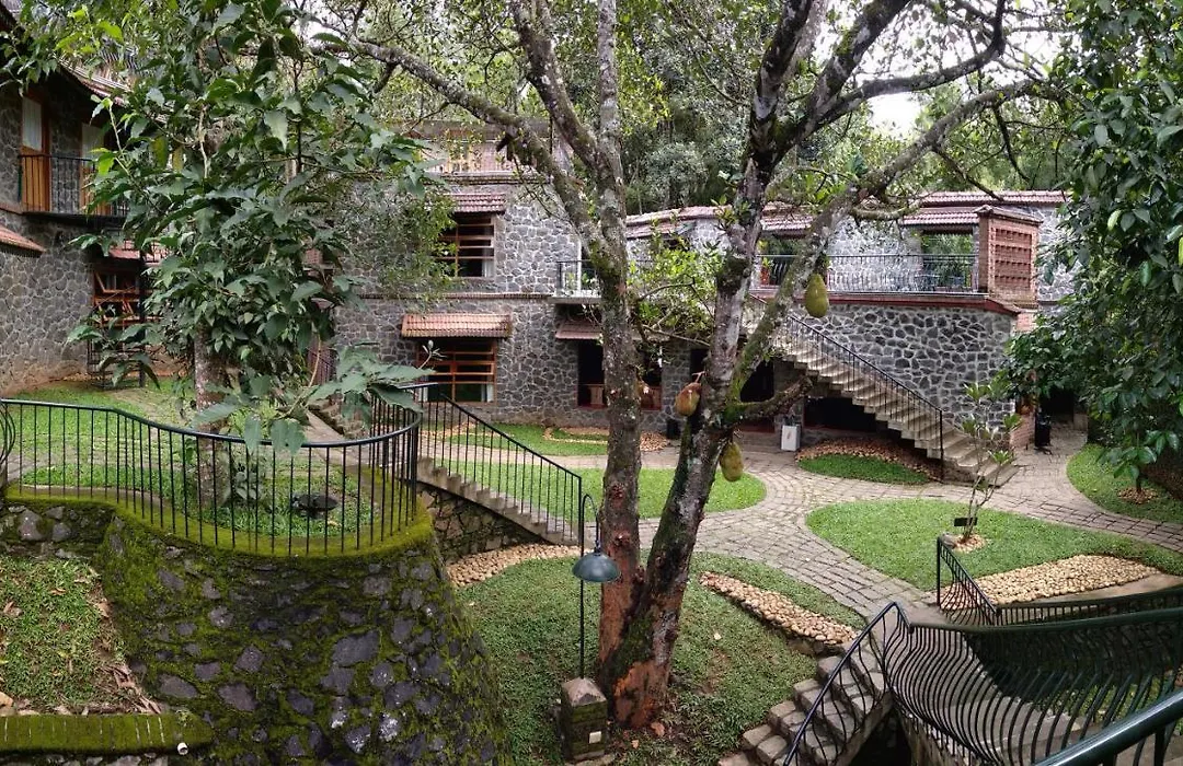 Wildernest-1