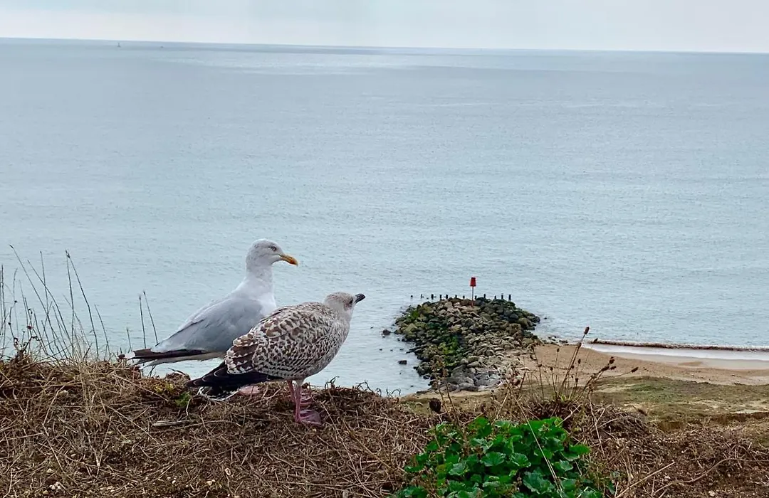 Shorefield Country Park, Where The New Forest Meets The Sea, Passes For All Entertainment Included-1