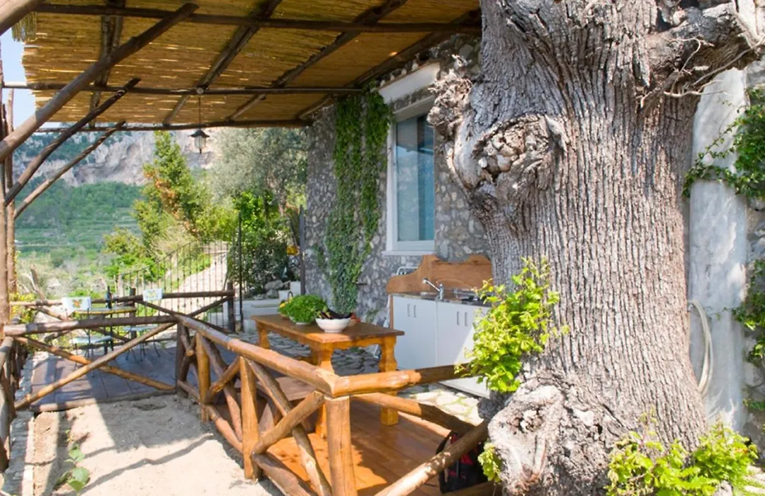 Fattoria La Tagliata-1