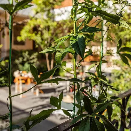 Casa Tuna-2