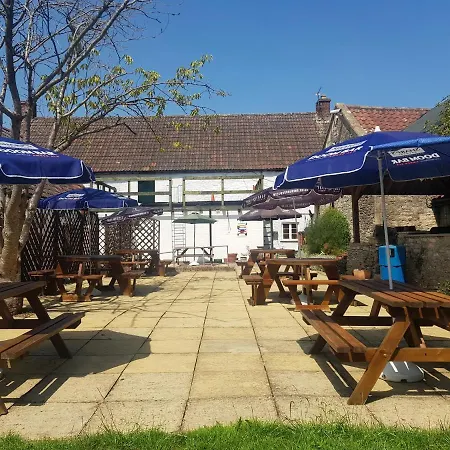 The Dog Inn-3