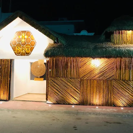 Casa Bizu-2