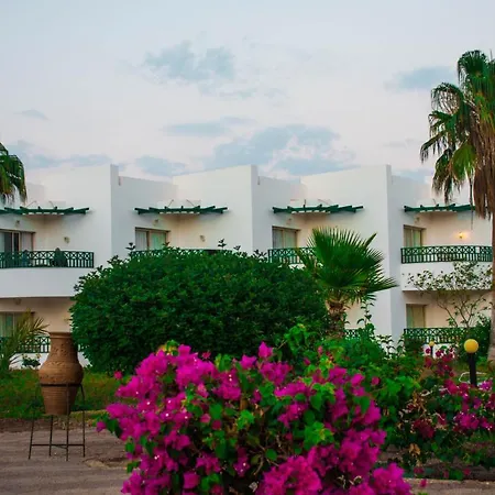 Coral Beach Resort Montazah (Adults Only)-3