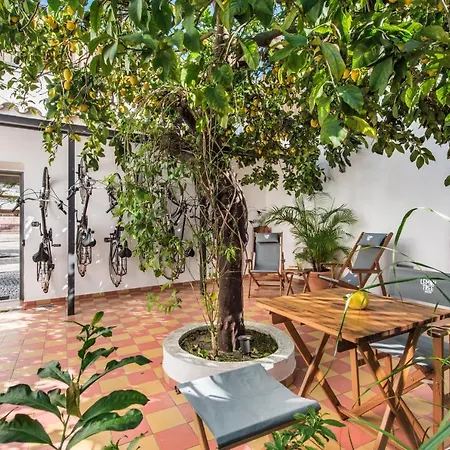 Lemon Tree Stay-2