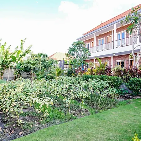 Bali Manik Guest House Canggu-3