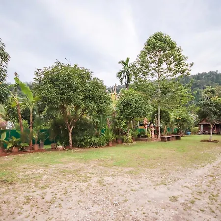 Oyo 75312 Banana Lodge-3