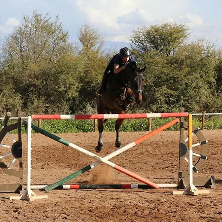 La Vie En Rose - Horses&Dogs House-2