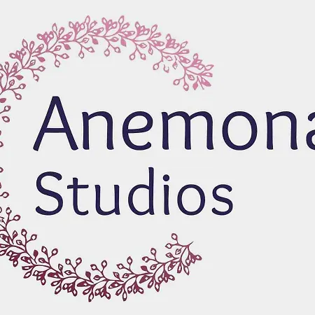 Anemona Studios-2