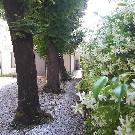 Villa Fiorentino-2