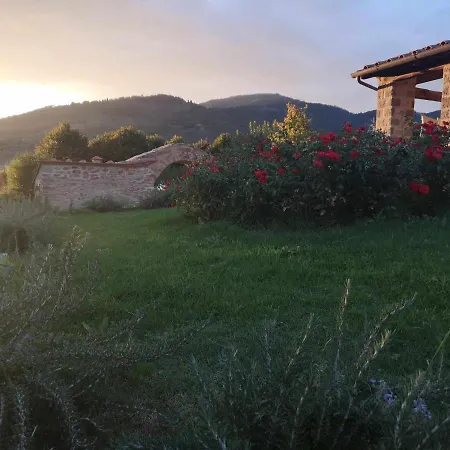 Alba Morus Bed & Breakfast, Sentiti A Casa Nel Cuore Della Toscana-3