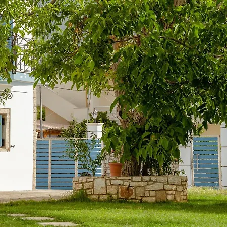 Alex Boutique Hotel-2
