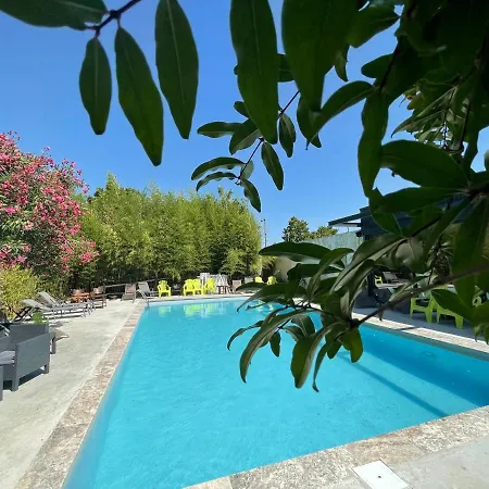 Logis Hotel Nimotel-2