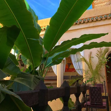 Riad Bamileke-2