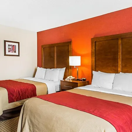 Comfort Inn Boston-3