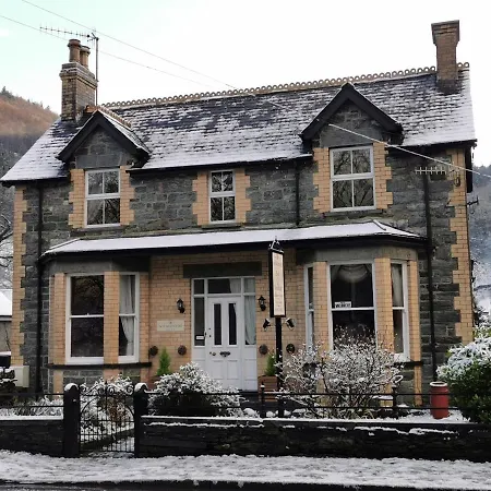 Dolweunydd Bed And Breakfast-2