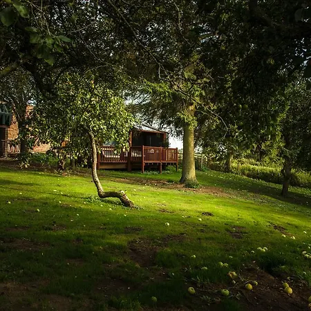 Newsham Grange Farm-3