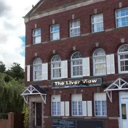 The Liver View-3
