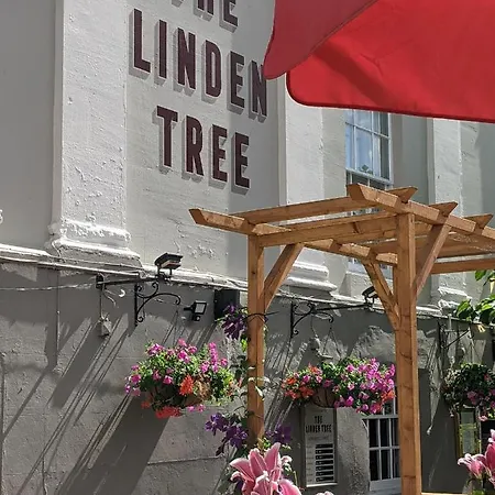 Linden Tree-3