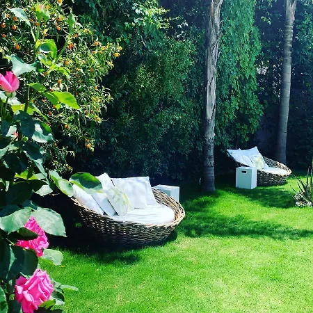 Lemon Tree Hotel-3