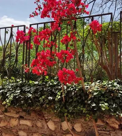 B&B Akropolis-3