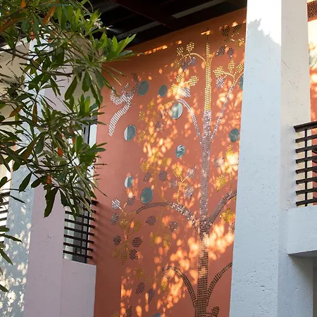 U Chiang Mai-2