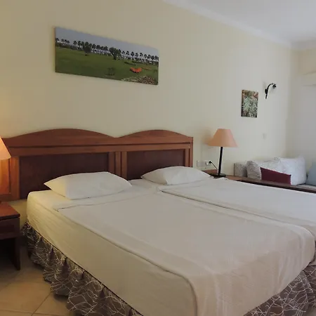 Okaliptus Otel-3