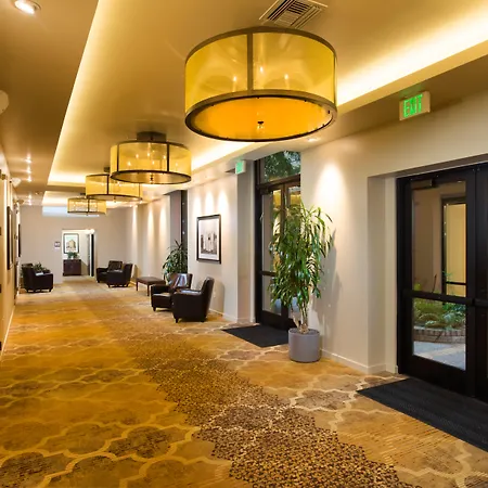 The Mark Spencer Hotel-2