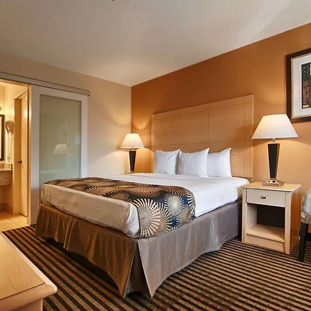 Best Western Palm Court Inn-2