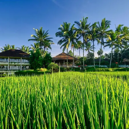 Mathis Retreat Ubud-3