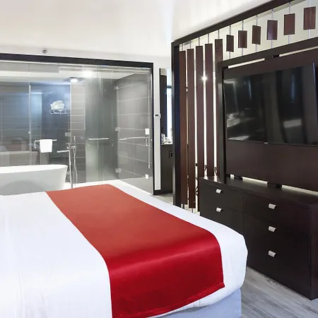 D Sabana Hotel San Jose-2